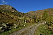 MONTE MINCUCCO (croce 1832 m - cima 2001 m) ad anello dal piano del Lago di Valmora il 17 ottobre 2019 - FOTOGALLERY